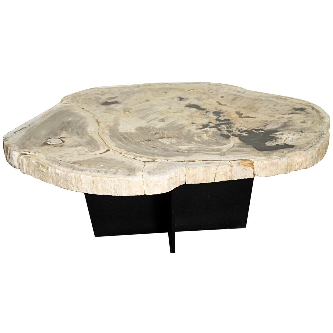 Venus Petrified Coffee Table, Natural - Boulevard Urban Living